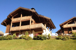 Chalet Amitie near supervised lake, 100 m slopes, multi-activity pass FREE Les Gets